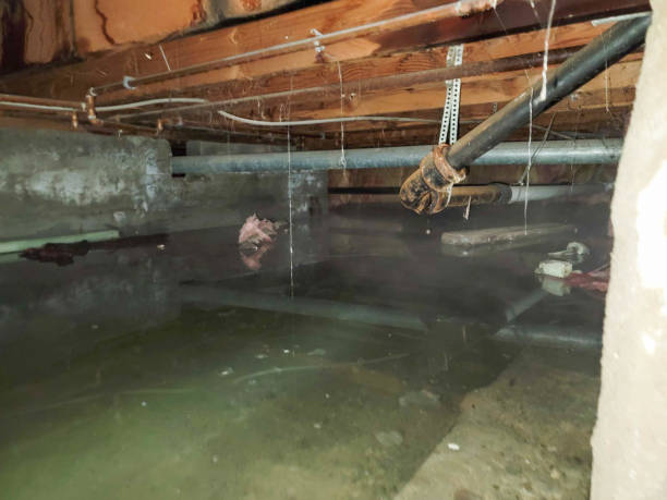 Water damage restoration insurance claims in Cottonwood, CA