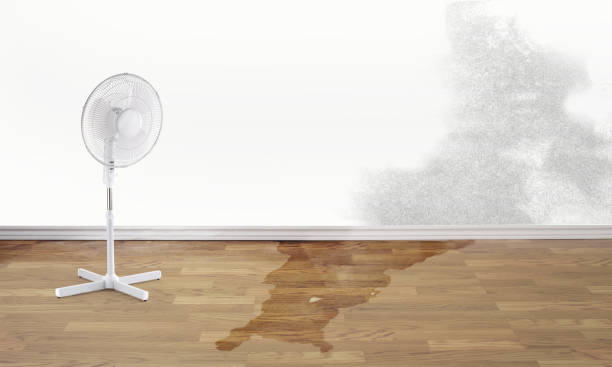 24/7 water damage repair in Cottonwood, CA