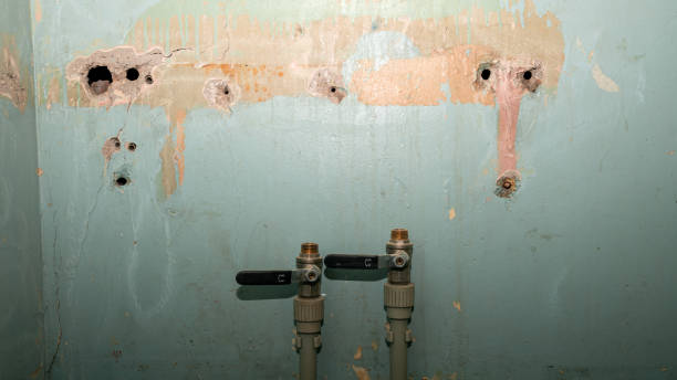 Best 24-hour water damage restoration  in Cottonwood, CA