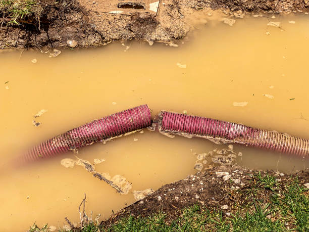 Sewage cleanup and water damage restoration in Cottonwood, CA