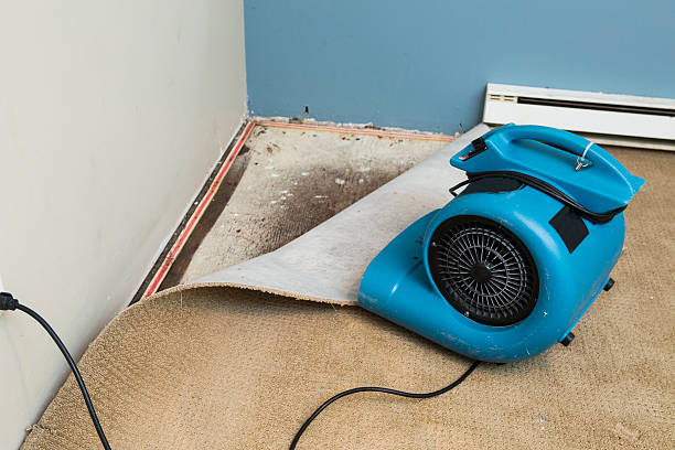 Best Water damage restoration company  in Cottonwood, CA